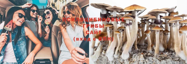 хмурый Абинск